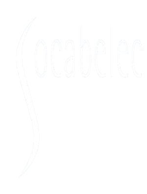 Socabelec – Industry Robotic – Swabbing robot